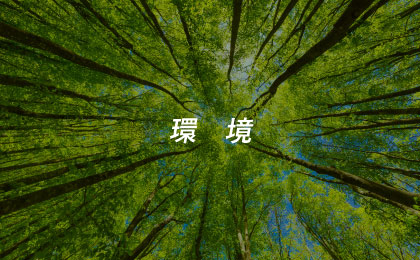 環境